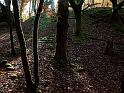 Sombras y luces en Artikutza